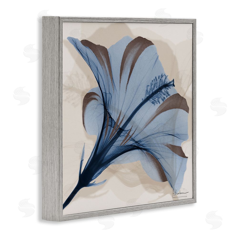 Albert Koetsier Blooming Sapphire Flower Gray Framed Giclee Wall Art Print
