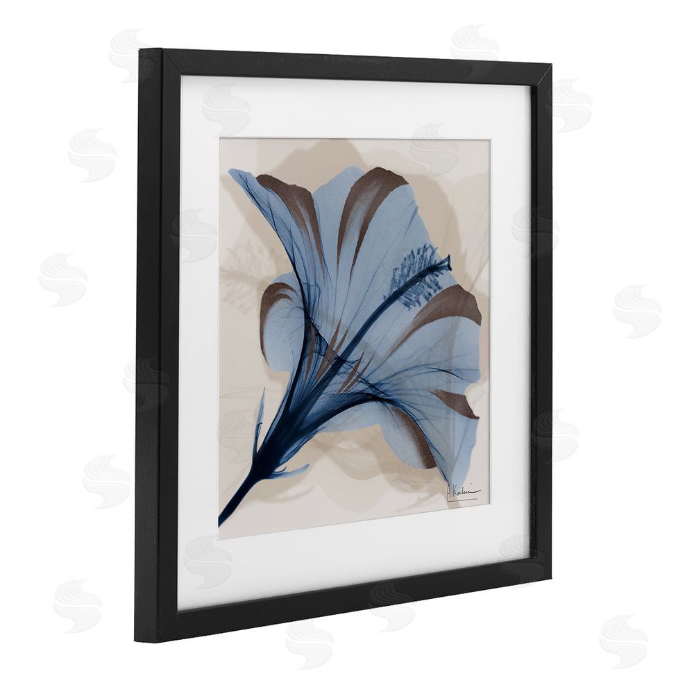 Albert Koetsier Blooming Sapphire Flower Black Framed Print Under Glass Wall Art