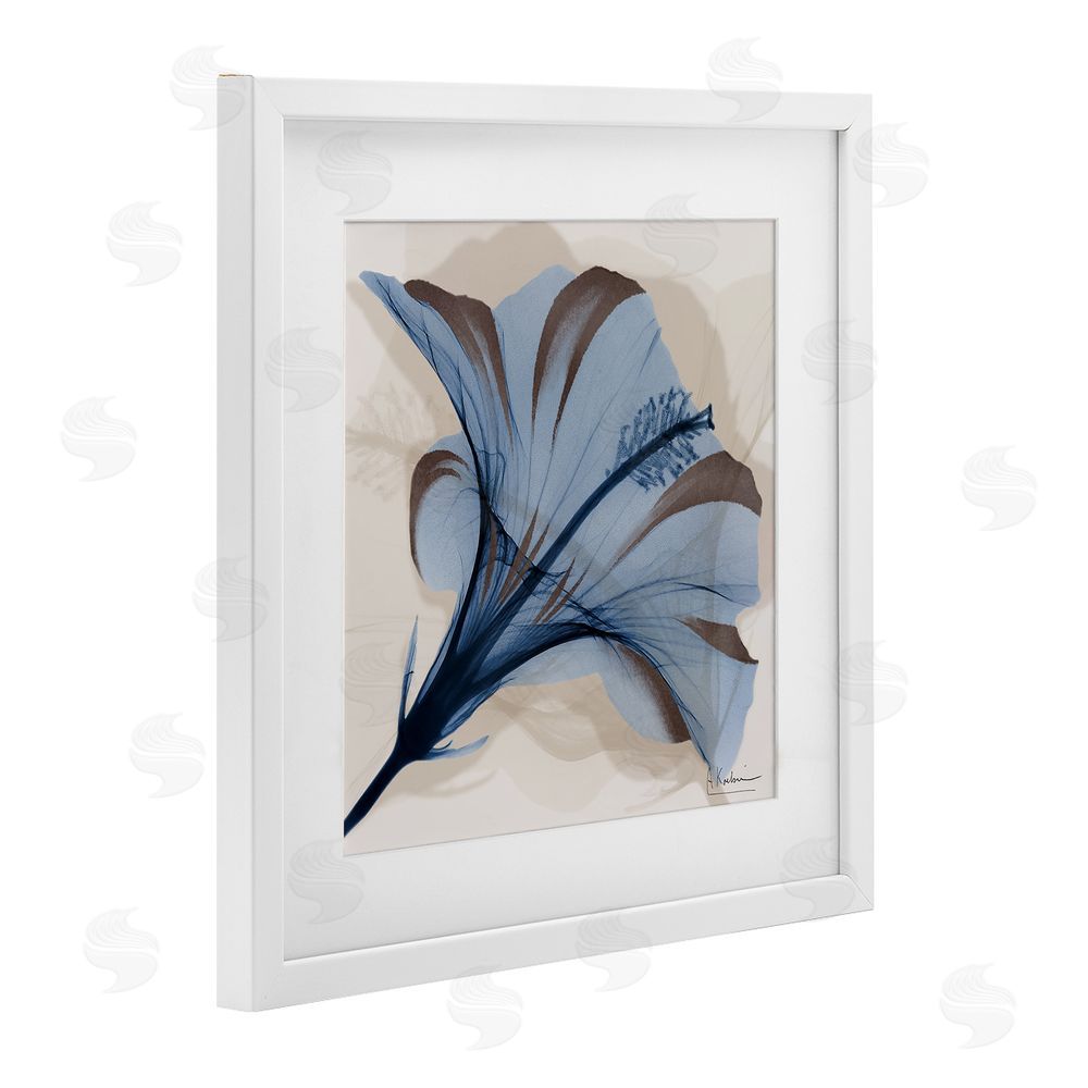 Albert Koetsier Blooming Sapphire Flower White Framed Print Under Glass Wall Art