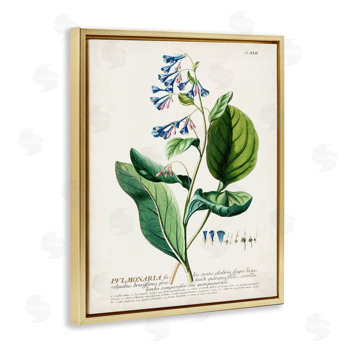 Botanical Blue Flowers Vintage Design Gold Floating Frame Canvas Wall Art, Home Decor by Unknown