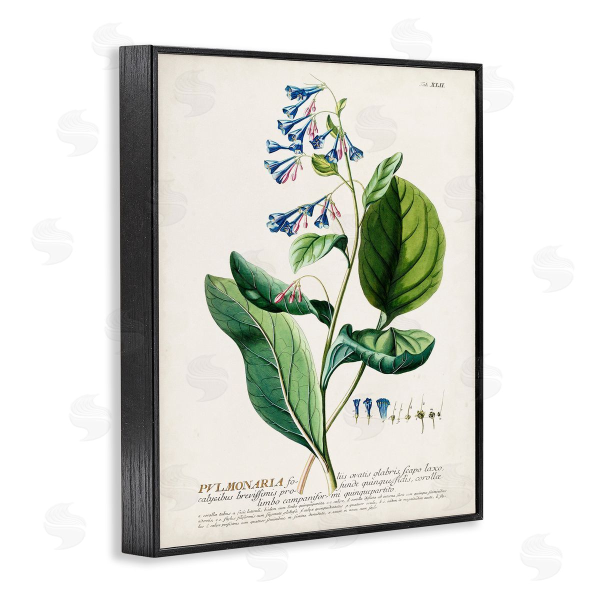Botanical Blue Flowers Vintage Design Black Frame Print Wall Art, Home Decor by Unknown