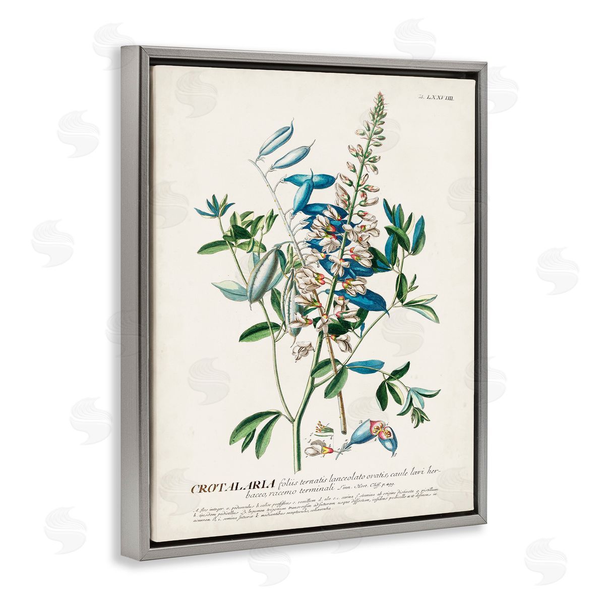Flowers And Leaves Vintage Design Grey Floating Frame Canvas Wall Art, Home Decor by Unknown