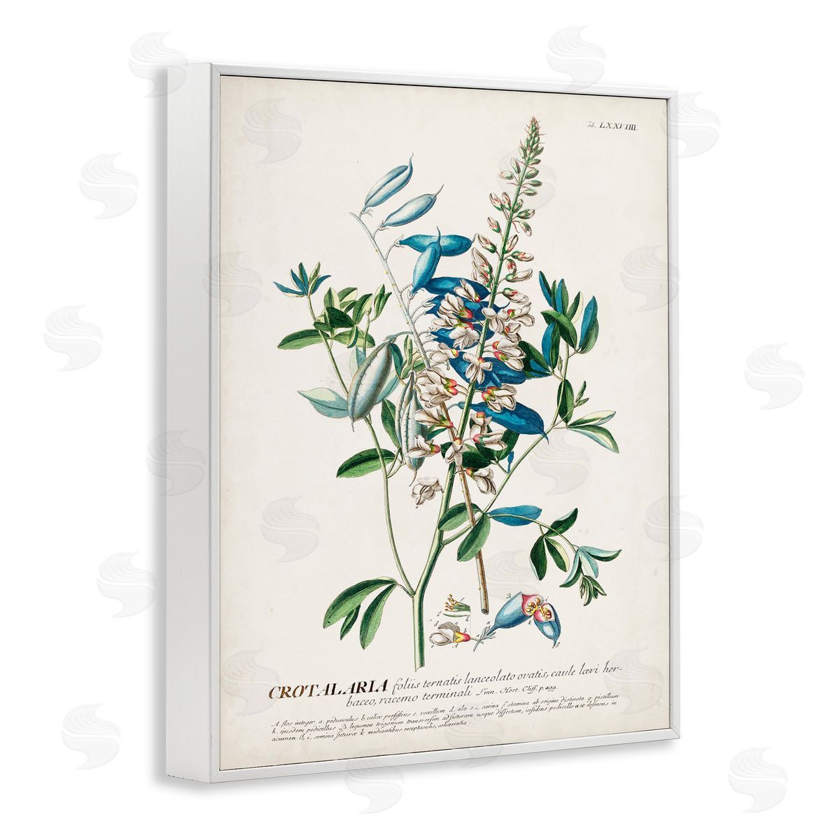 Flowers And Leaves Vintage Design White Frame Print Wall Art, Home Decor by Unknown