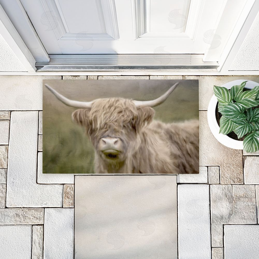 Kim Allen Highland Cattle Dreams Unwoven Outdoor Door Mat