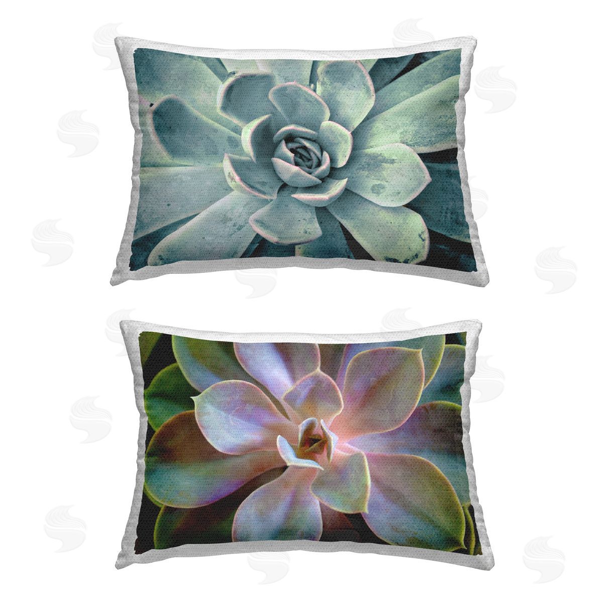 Susan Bryant Centric Succulent Forms Outdoor Quick-Dry Polyester Printed Throw Pillow