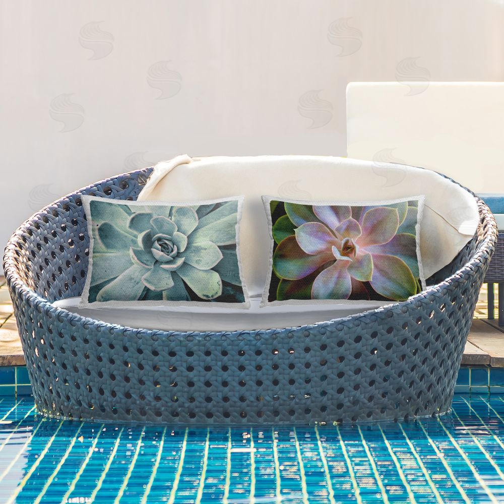 Susan Bryant Centric Succulent Forms Outdoor Quick-Dry Polyester Printed Throw Pillow in Back Yard