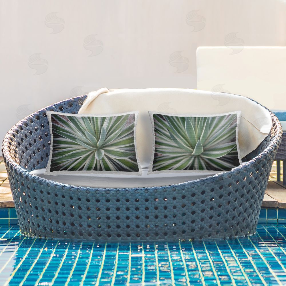 Susan Bryant Agave Plant Leaves Outdoor Quick-Dry Polyester Printed Throw Pillow in Back Yard