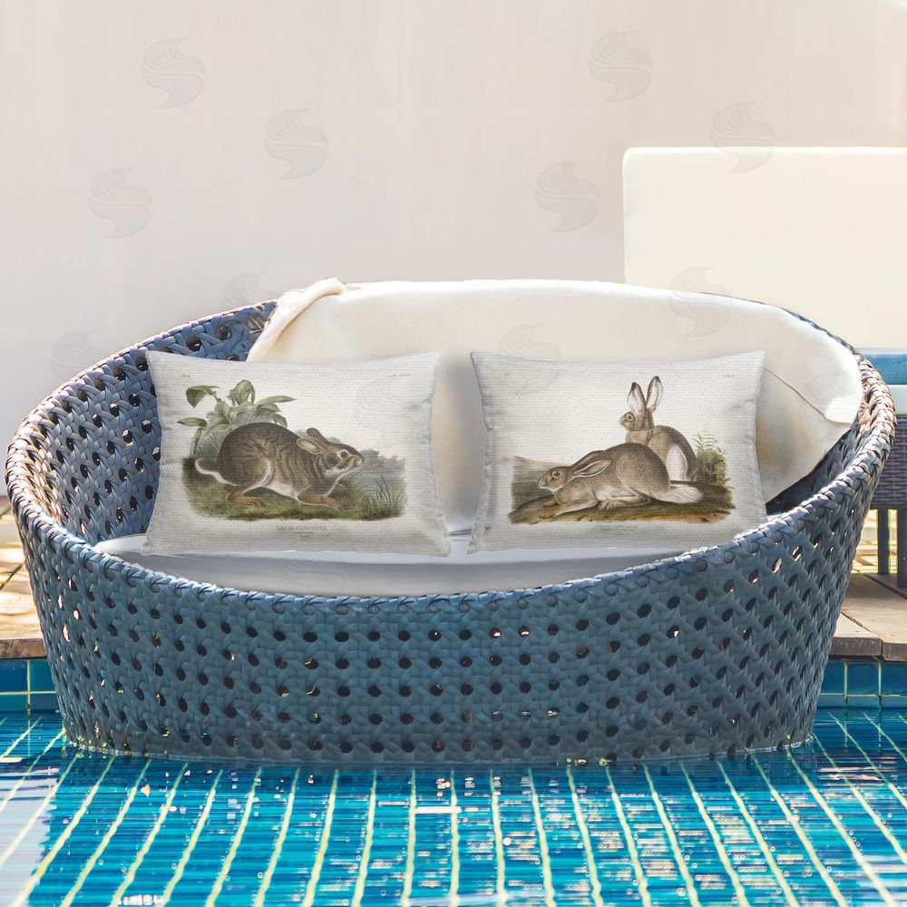 Wild Apple Portfolio Gentle Resting Cottage Rabbit Outdoor Quick-Dry Polyester Printed Throw Pillow in Back Yard