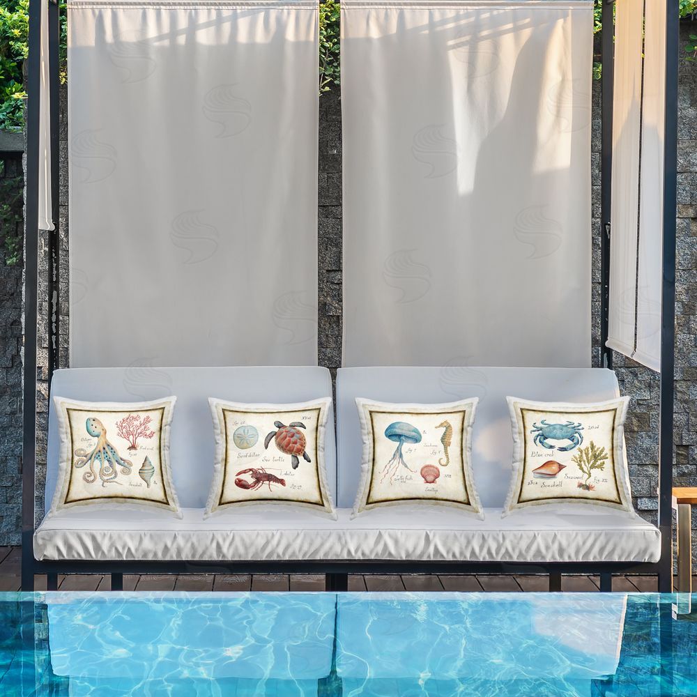 Daphne Brissonnet Vintage Oceanography Creatures Outdoor Quick-Dry Polyester Printed Square Pillow Set on Patio