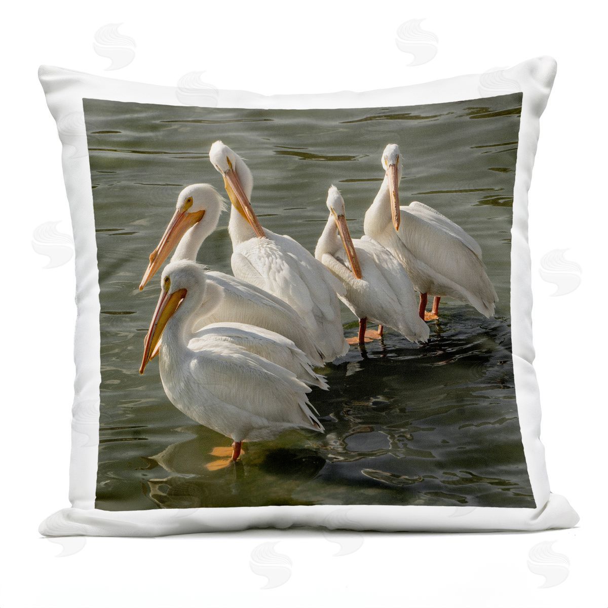 Seaside Pelicans Preening Outdoor Printed Pillow, Home Decor by David Lorenz