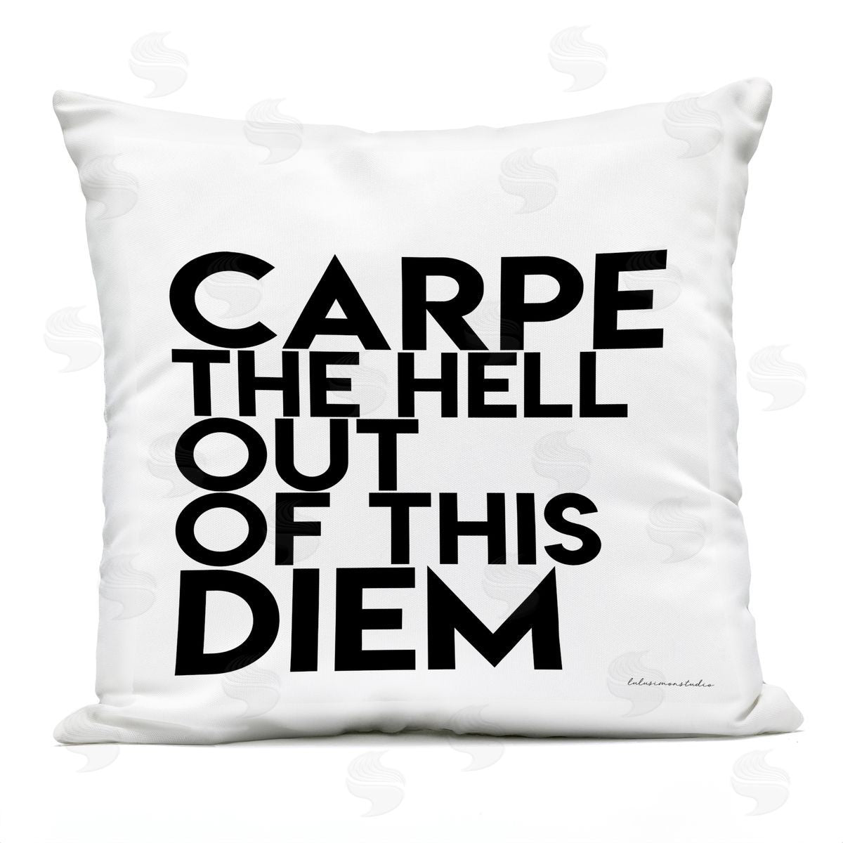 Carpe Out Of Diem Humor Outdoor Printed Pillow, Home Decor by lulusimonSTUDIO