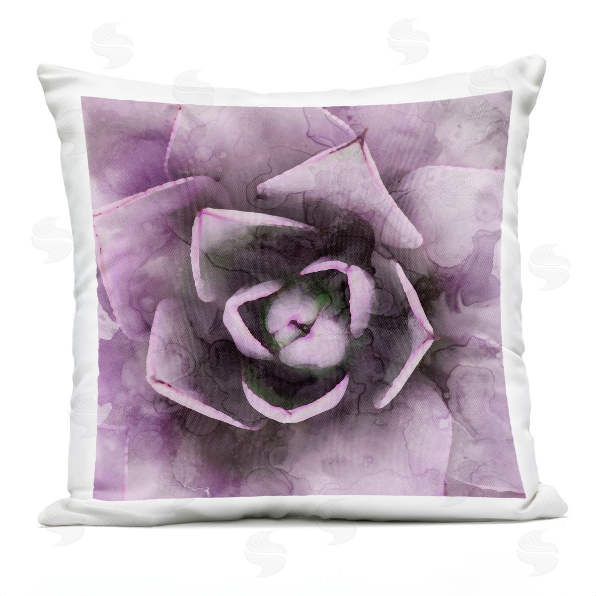 Close Up Succulent Plant Leaves Outdoor Printed Pillow, Home Decor by Stupell Studio