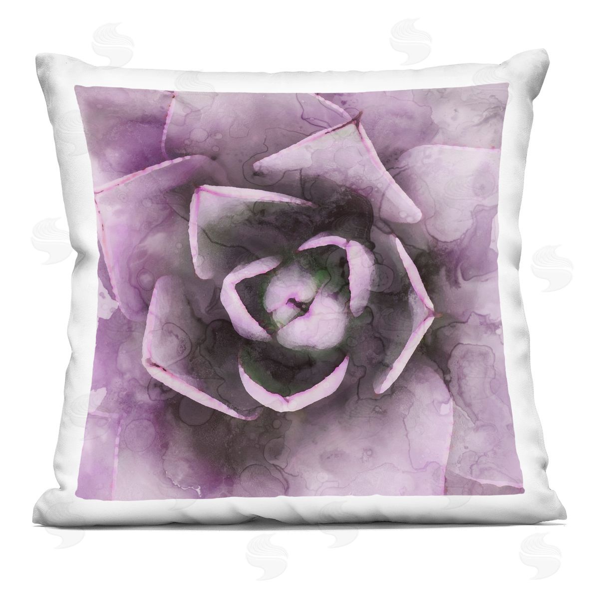 Close Up Succulent Plant Leaves Decorative Printed Pillow, Home Decor by Stupell Studio