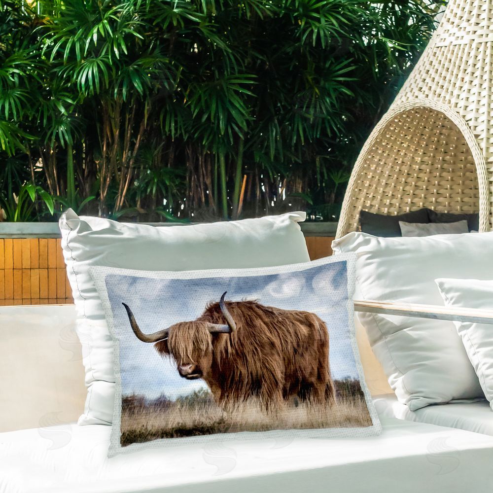 Kim Allen Highland Cow Landscape Outdoor Quick-Dry Polyester Printed Throw Pillow in Back Yard
