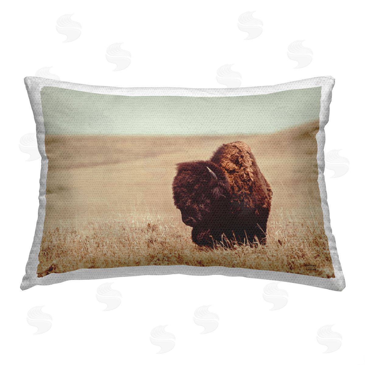 Nathan Larson Bison Country Pasture Outdoor Quick-Dry Polyester Printed Throw Pillow