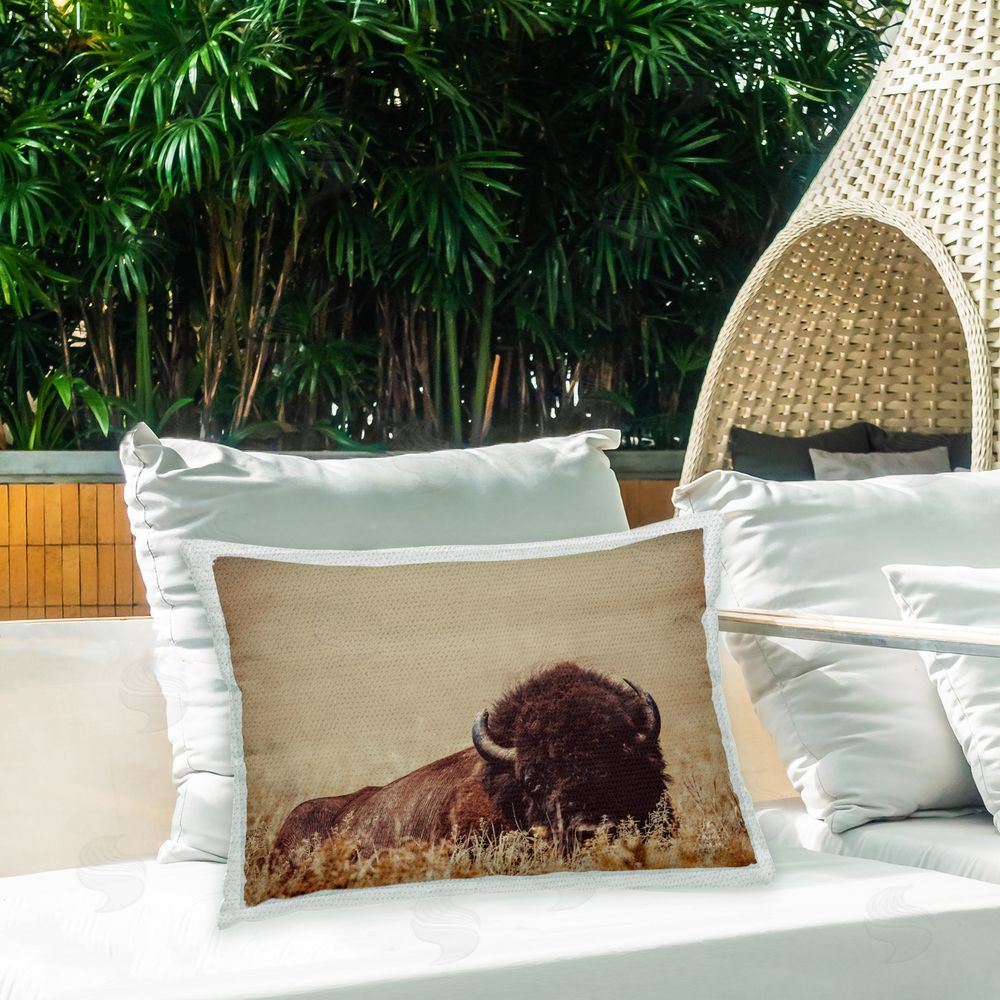 Nathan Larson Bison Laying in Field Outdoor Quick-Dry Polyester Printed Throw Pillow in Back Yard