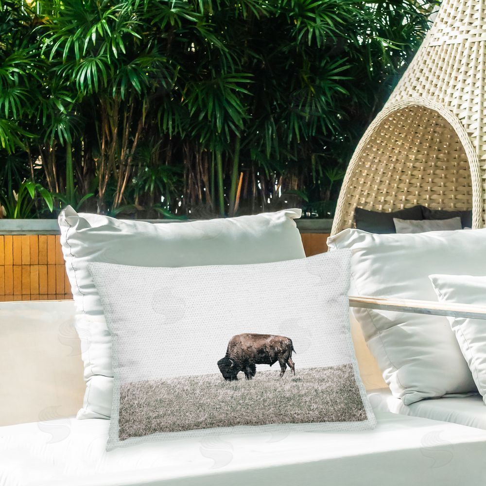 Daniel Sproul Bison Grazing Scenery Outdoor Quick-Dry Polyester Printed Throw Pillow in Back Yard