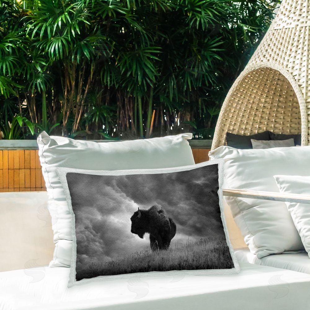 Steve Toole Cloudy Bison Portrait Outdoor Quick-Dry Polyester Printed Throw Pillow in Back Yard
