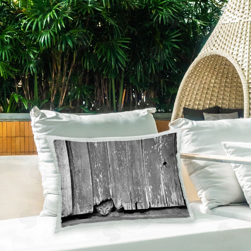 Steve Toole Kitten Peeking Barn Outdoor Quick-Dry Polyester Printed Throw Pillow in Back Yard