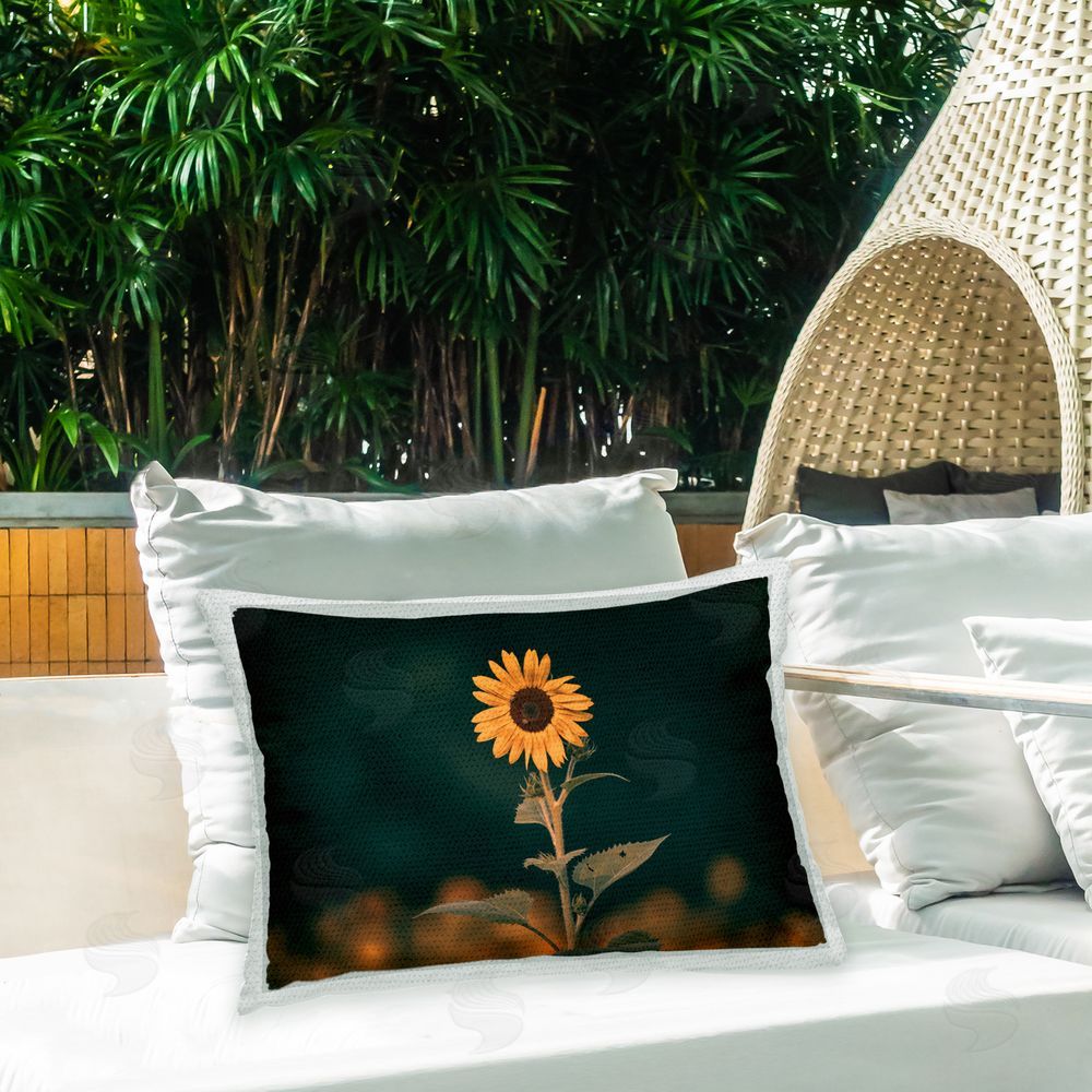 Daniel Sproul Country Sunflower Bloom Outdoor Quick-Dry Polyester Printed Throw Pillow in Back Yard