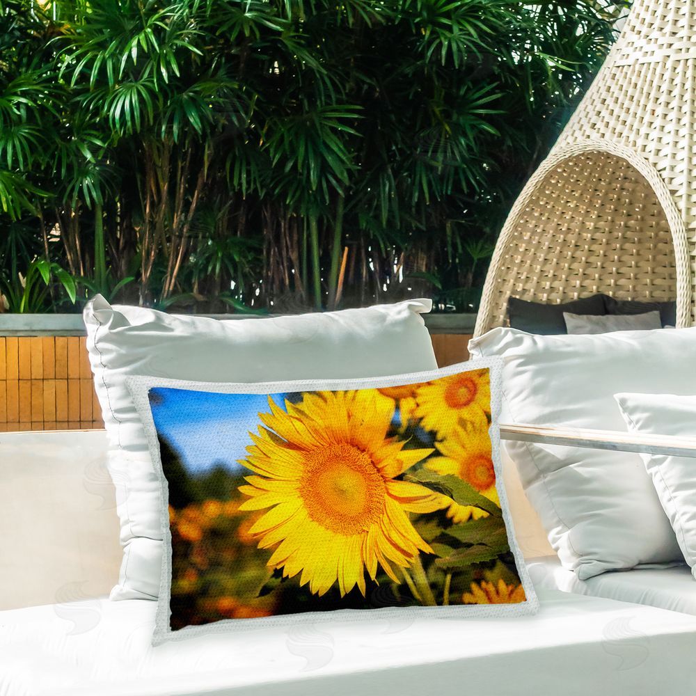 Daniel Sproul Blooming Country Flowers Outdoor Quick-Dry Polyester Printed Throw Pillow in Back Yard