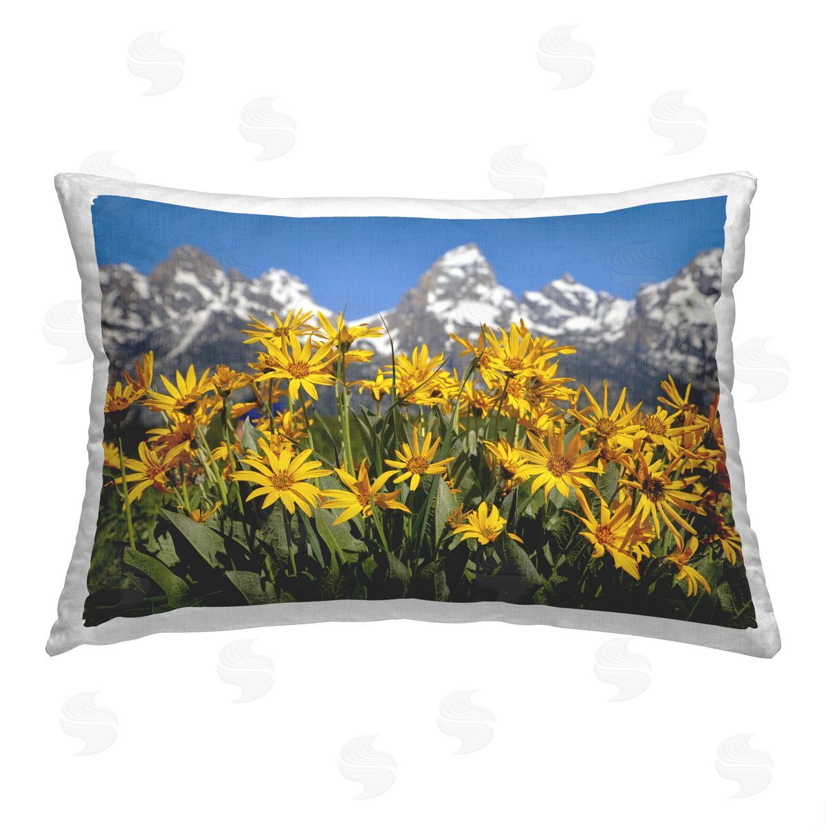 Daniel Sproul Mountain View Flowers Printed Plush Polyester Throw Pillow
