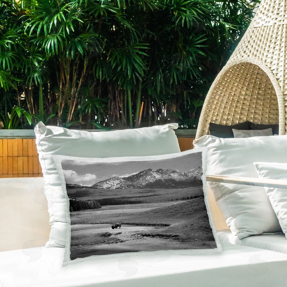 Steve Toole Rural Country Bison Outdoor Quick-Dry Polyester Printed Throw Pillow in Back Yard