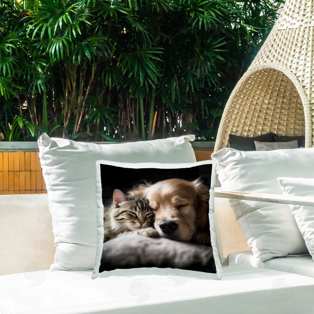 Roozbeh Sleeping Dog & Cat Outdoor Quick-Dry Polyester Printed Throw Pillow in Back Yard