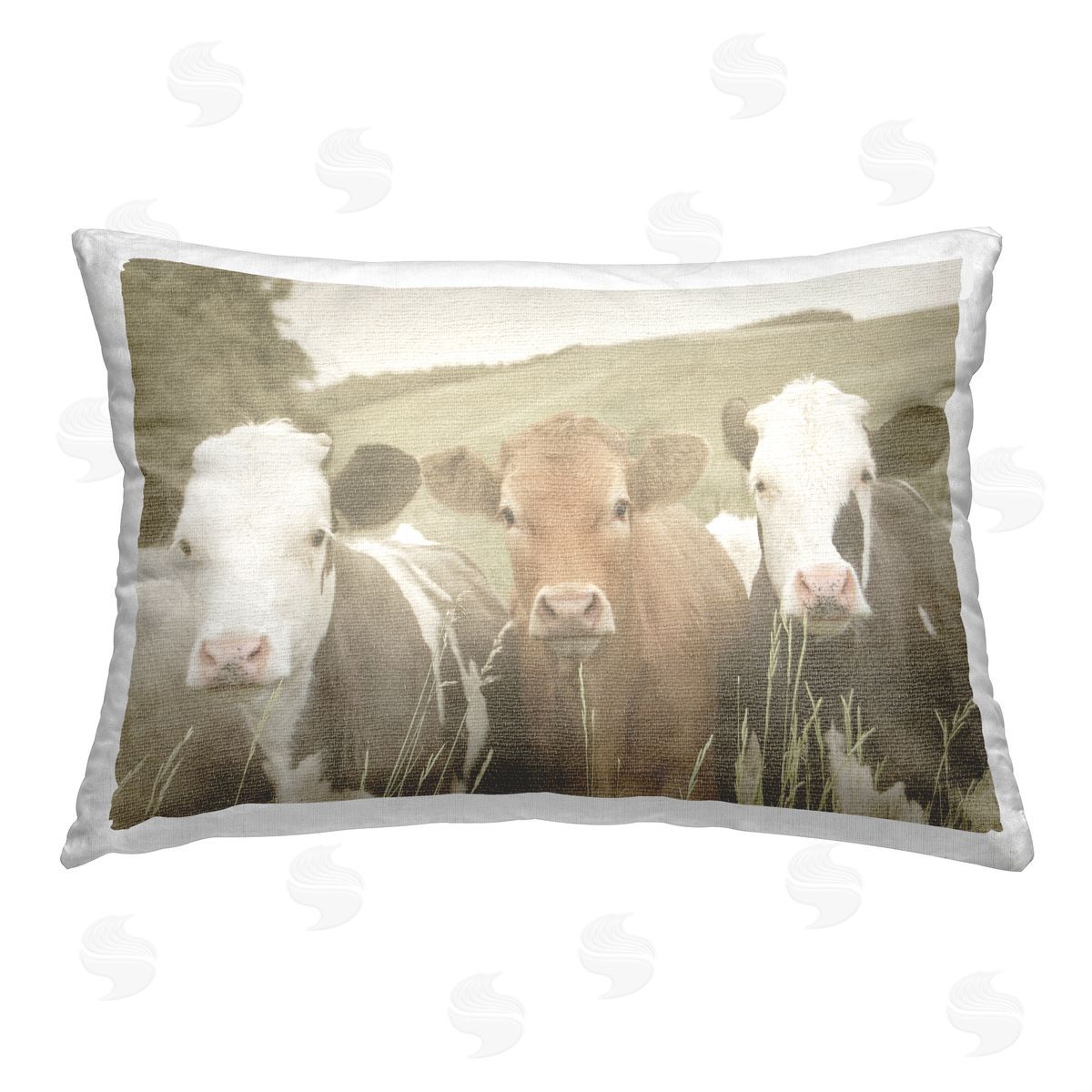 Daphne Polselli Cows in Rural Field Printed Plush Polyester Throw Pillow