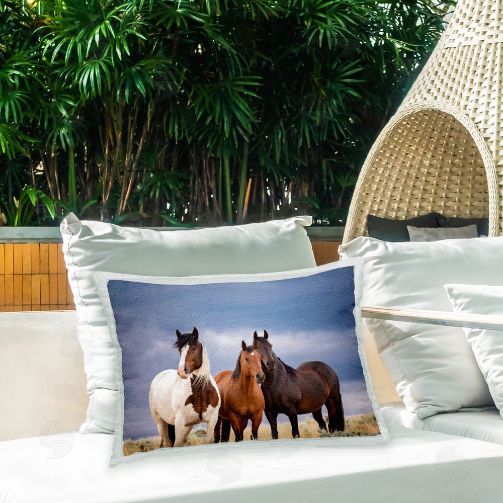 PH Burchett Three Horses in Nature Outdoor Quick-Dry Polyester Printed Throw Pillow in Back Yard