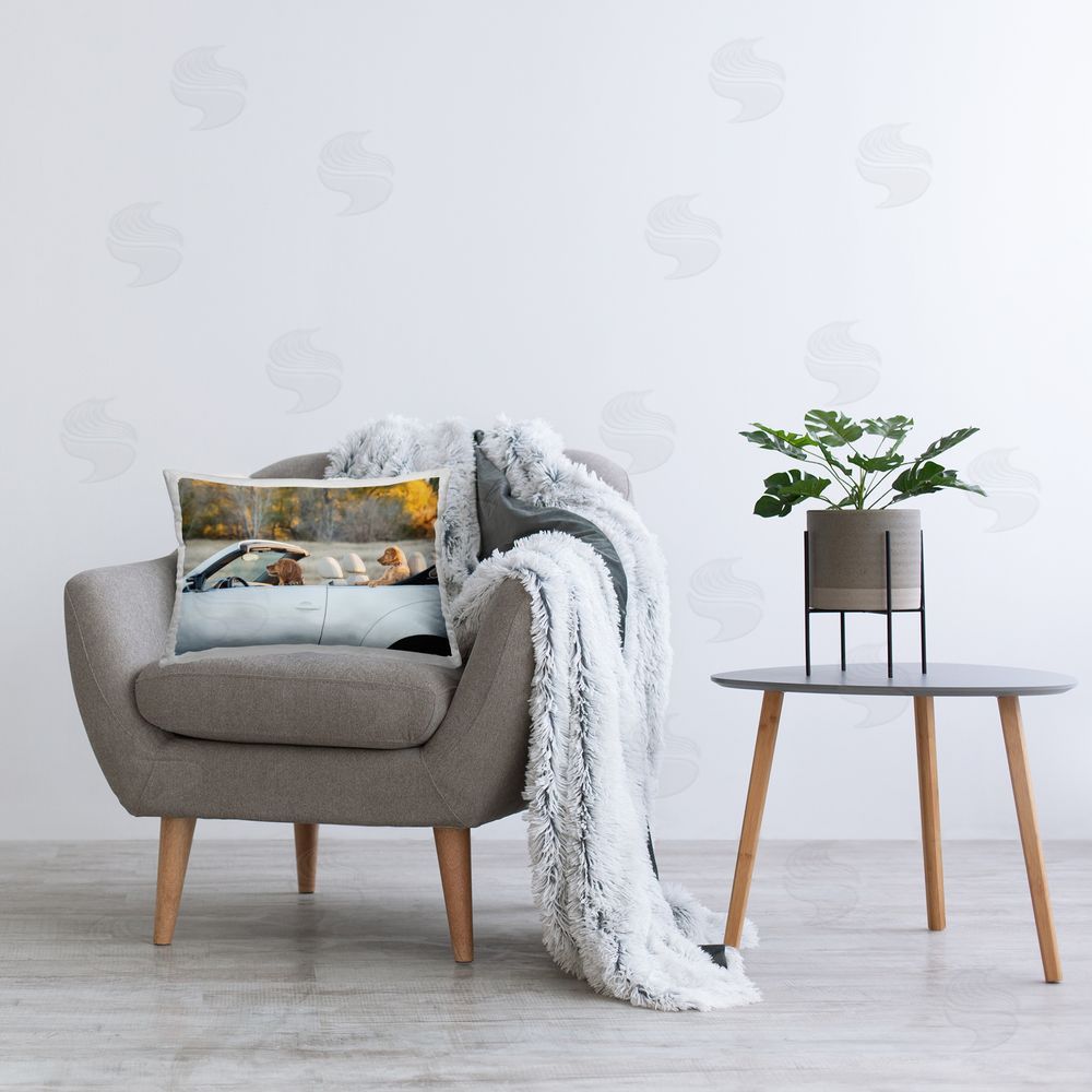 Karen Hoglund Dogs Driving Convertible Printed Plush Polyester Throw Pillow On Chair