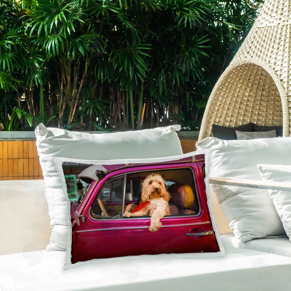 Mehmet Asian Dog Driving Antique Car Outdoor Quick-Dry Polyester Printed Throw Pillow in Back Yard