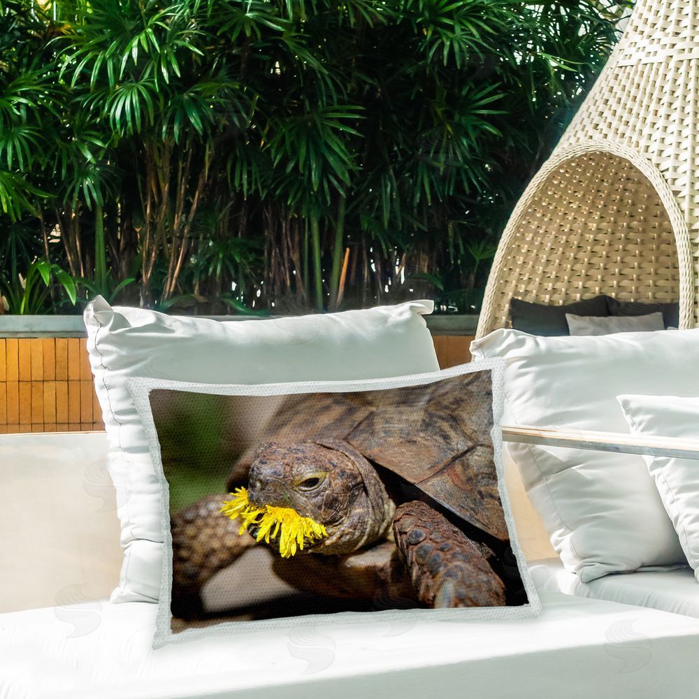 Jonathan Casey Turtle Eating Dandelion Outdoor Quick-Dry Polyester Printed Throw Pillow in Back Yard