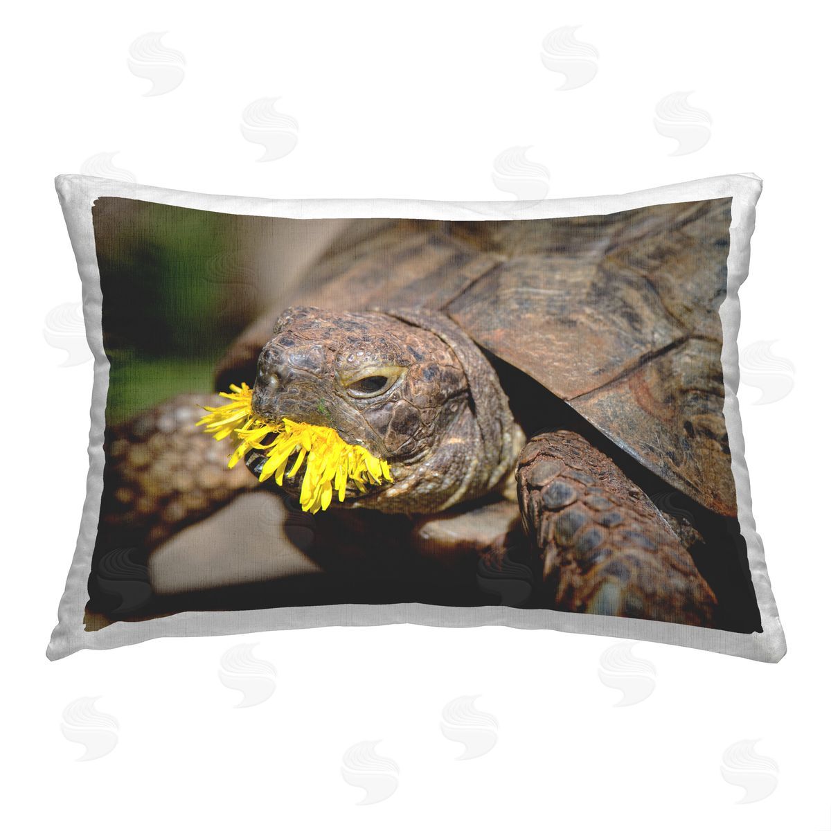 Jonathan Casey Turtle Eating Dandelion Printed Plush Polyester Throw Pillow