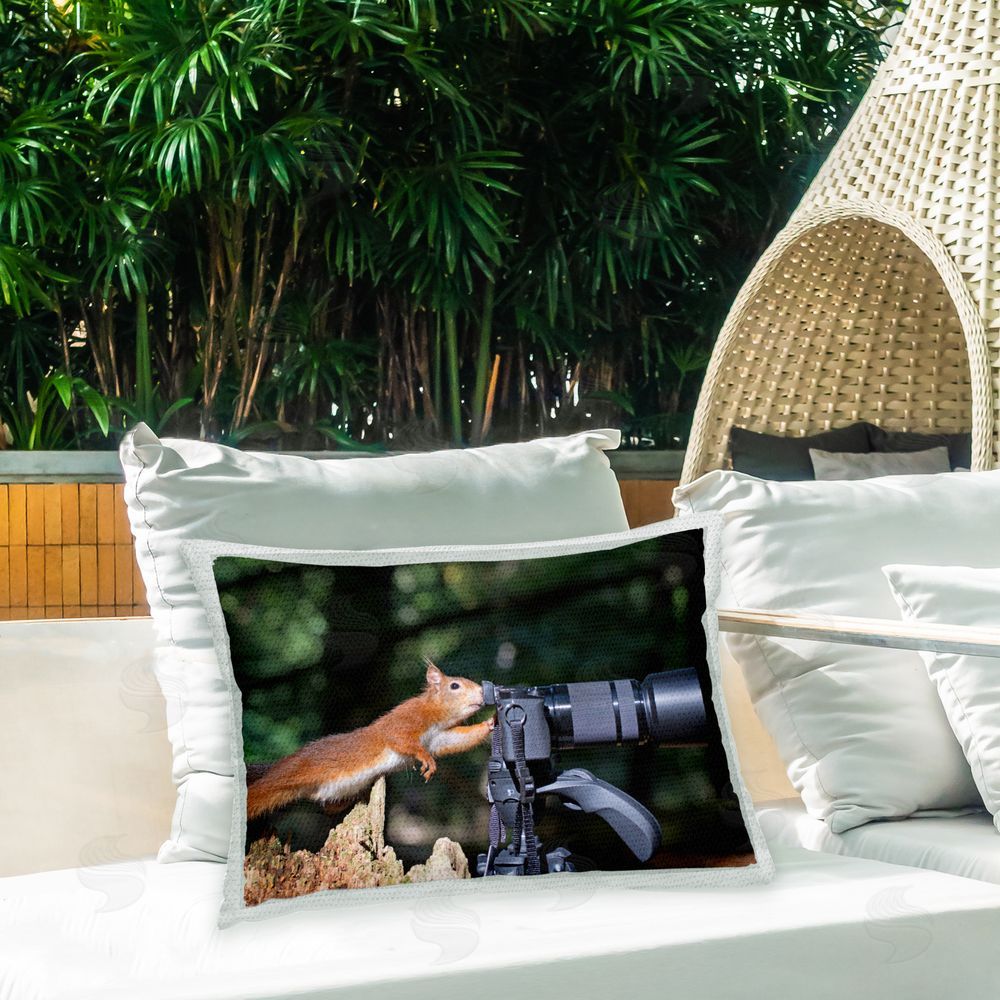 Julie Hunt Funny Photographer Squirrel Outdoor Quick-Dry Polyester Printed Throw Pillow in Back Yard