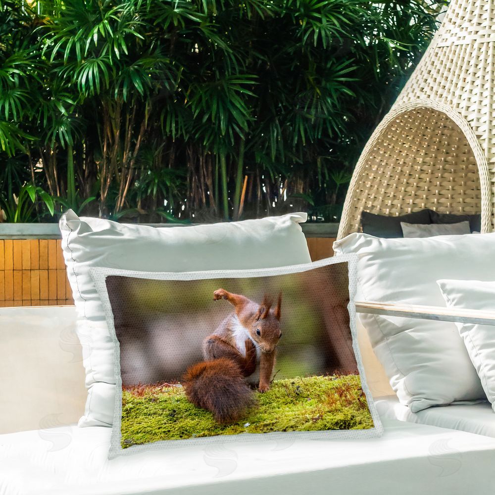 Johnny Kaapa Funny Squirrel Posing Outdoor Quick-Dry Polyester Printed Throw Pillow in Back Yard