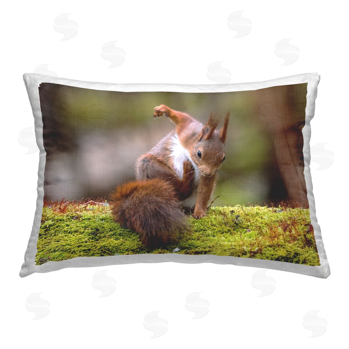 Johnny Kaapa Funny Squirrel Posing Printed Plush Polyester Throw Pillow
