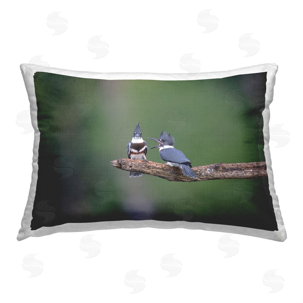 Christopher Schlaf Blue Jays on Branch Printed Plush Polyester Throw Pillow