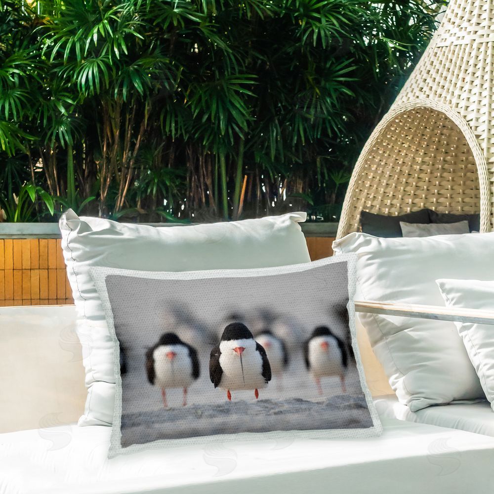 Ke Qiang Ruan Funny Birds Lined Up Outdoor Quick-Dry Polyester Printed Throw Pillow in Back Yard