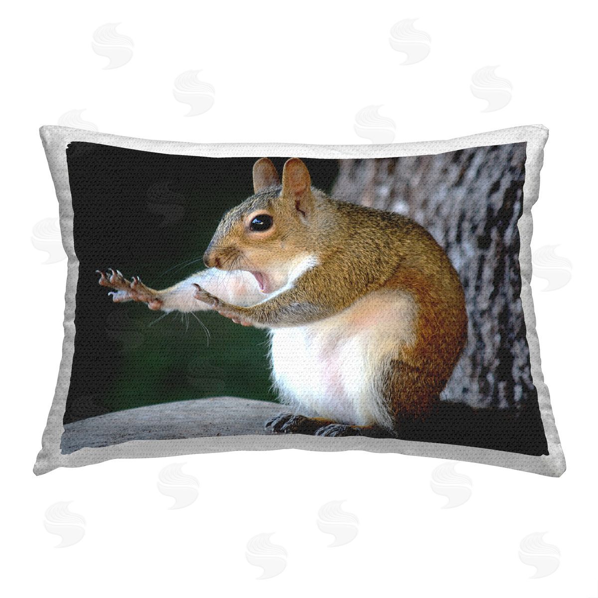 Mary McGowan Funny Squirrel Pose Outdoor Quick-Dry Polyester Printed Throw Pillow