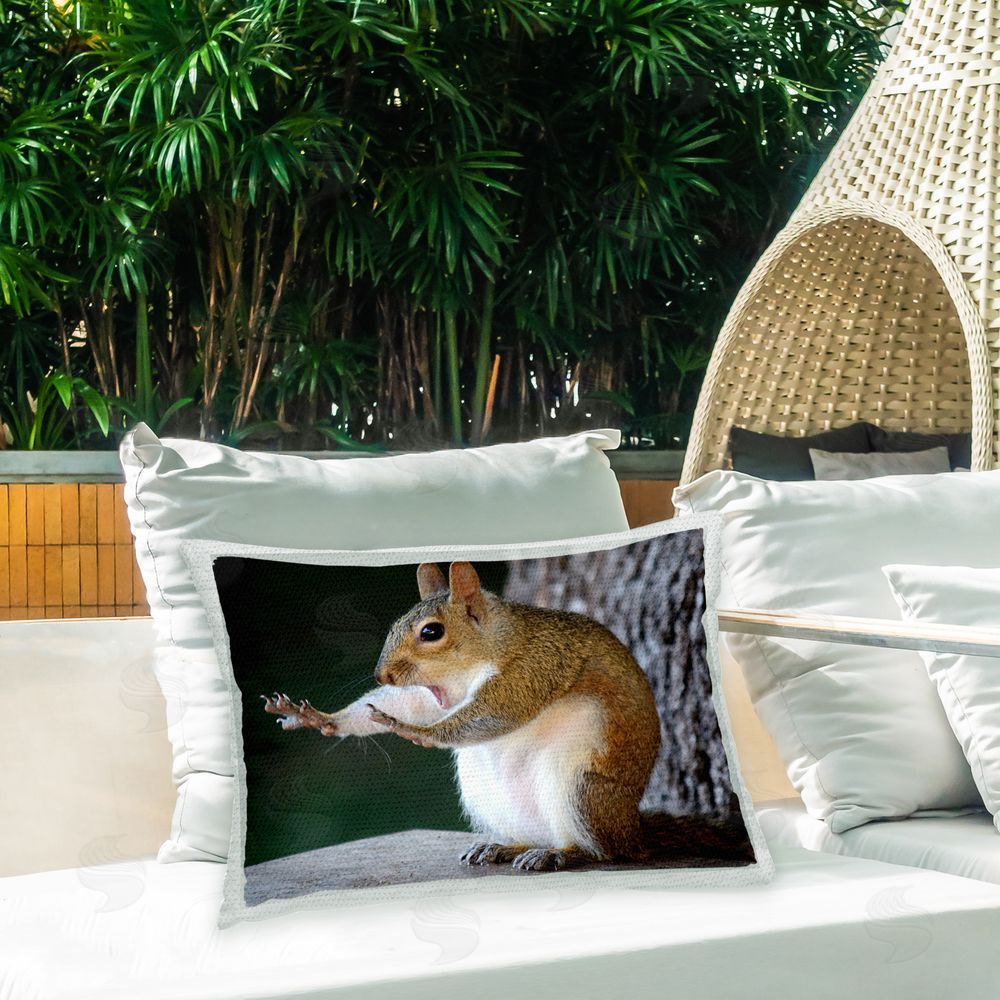Mary McGowan Funny Squirrel Pose Outdoor Quick-Dry Polyester Printed Throw Pillow in Back Yard