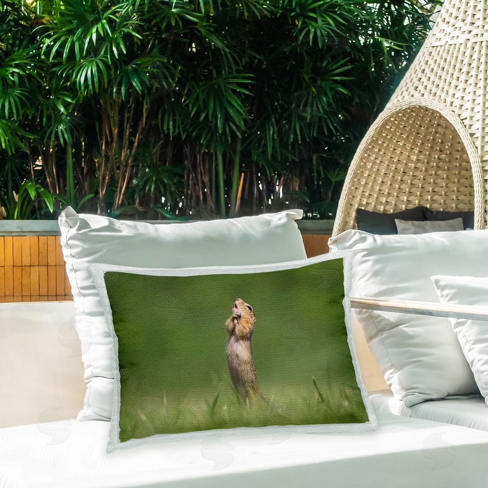 Roland Kranitz Funny Meerkat Posing Outdoor Quick-Dry Polyester Printed Throw Pillow in Back Yard