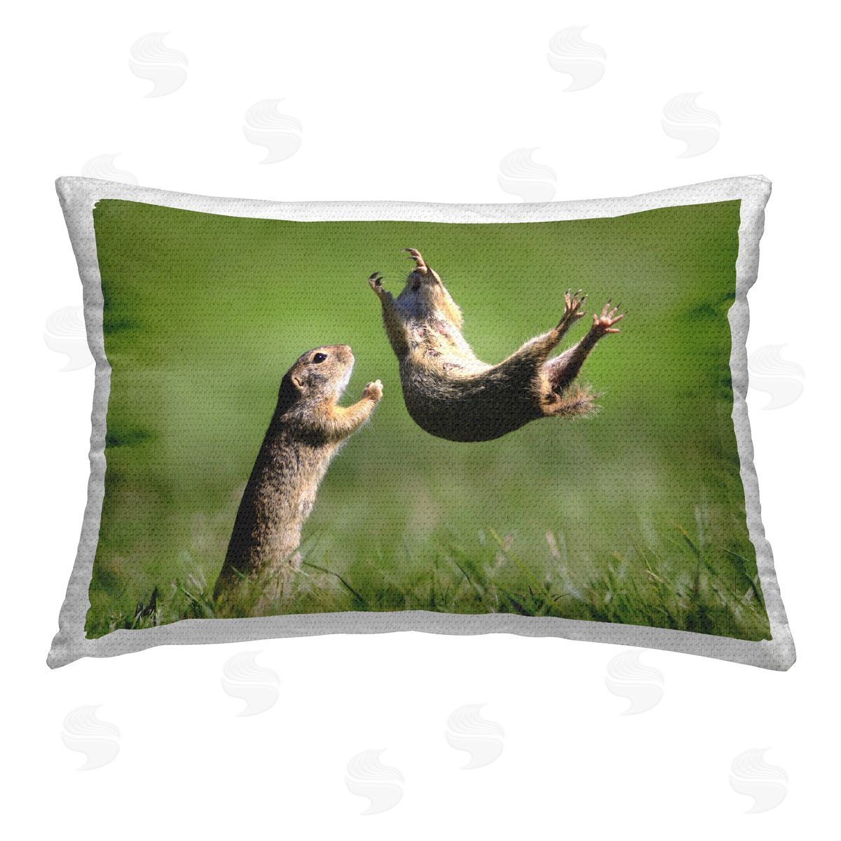 Roland Kranitz Funny Jumping Chipmunks Outdoor Quick-Dry Polyester Printed Throw Pillow