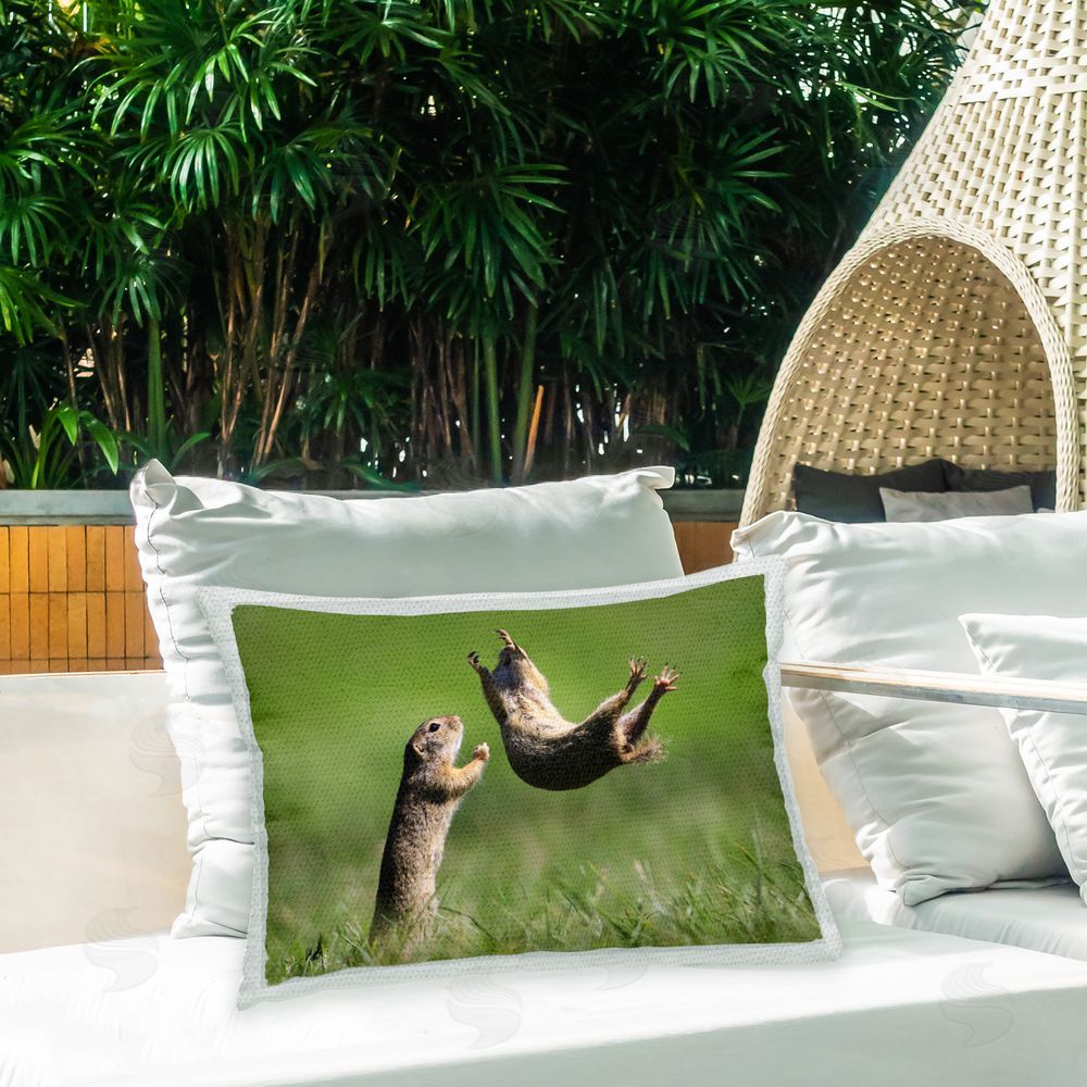 Roland Kranitz Funny Jumping Chipmunks Outdoor Quick-Dry Polyester Printed Throw Pillow in Back Yard