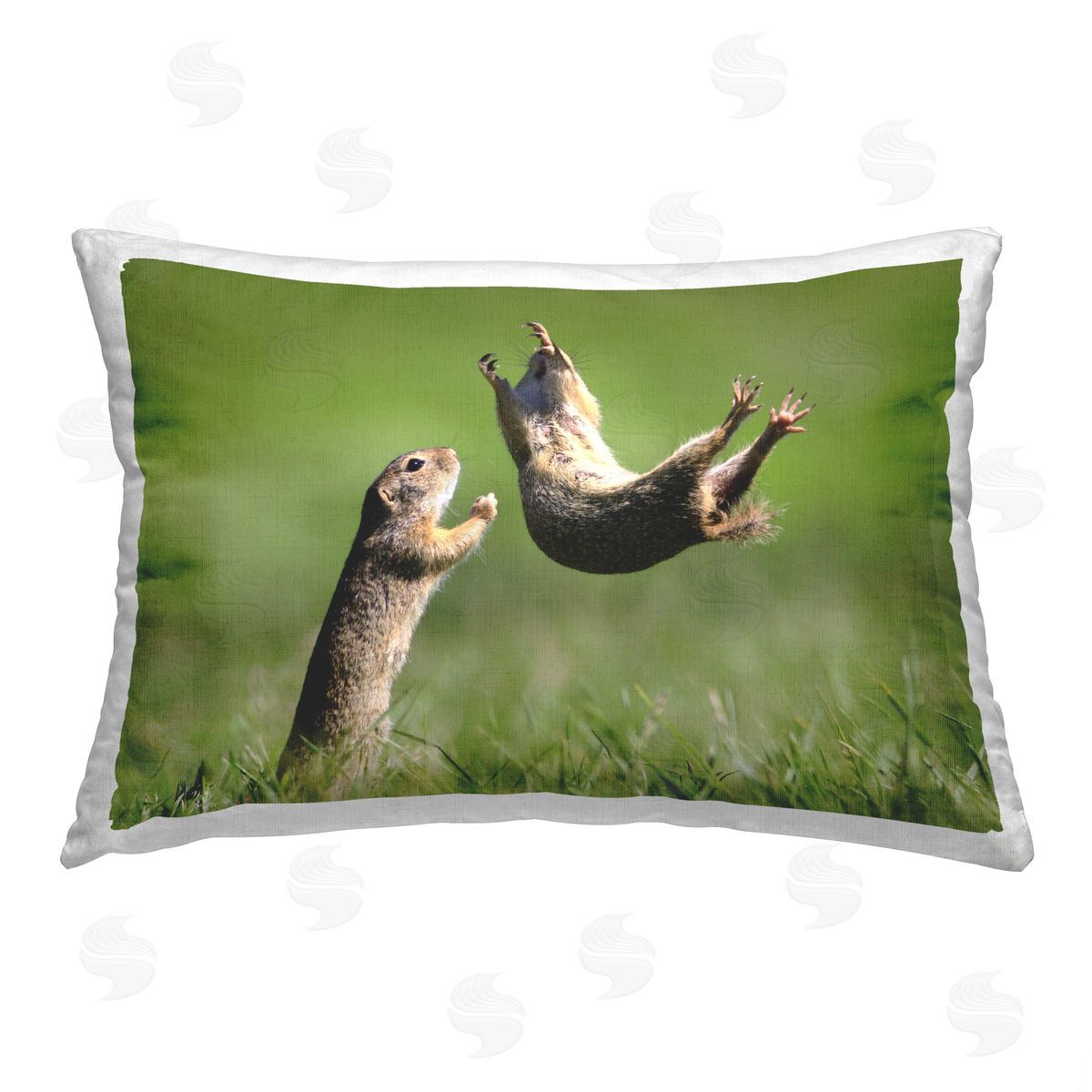 Roland Kranitz Funny Jumping Chipmunks Printed Plush Polyester Throw Pillow