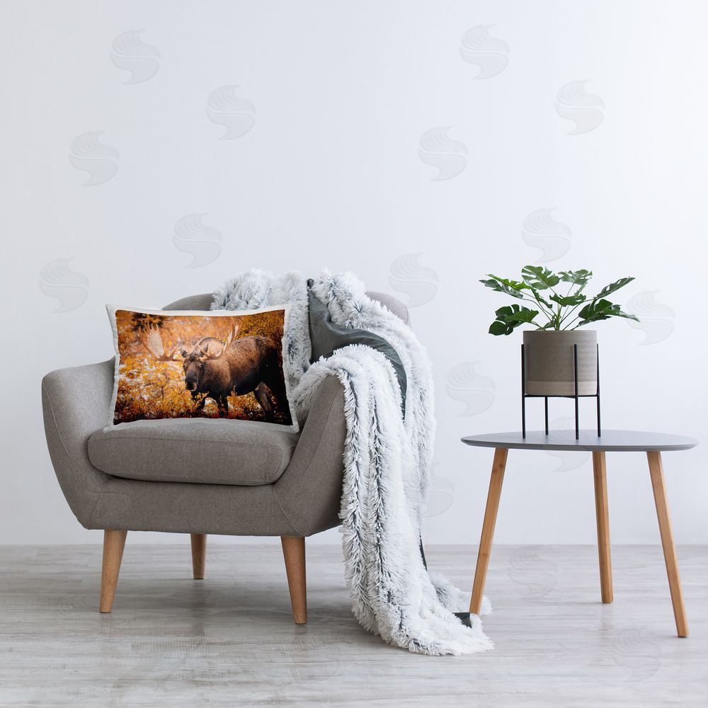 Daniel Sproul Moose Among Fall Foliage Printed Plush Polyester Throw Pillow On Chair