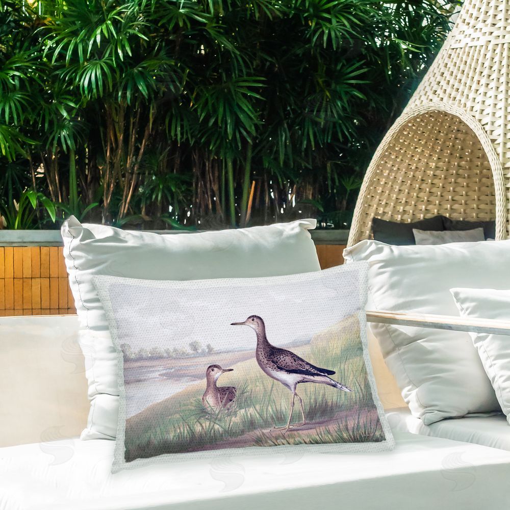 Stellar Design Studio Birds at Pond Shore Outdoor Quick-Dry Polyester Printed Throw Pillow in Back Yard