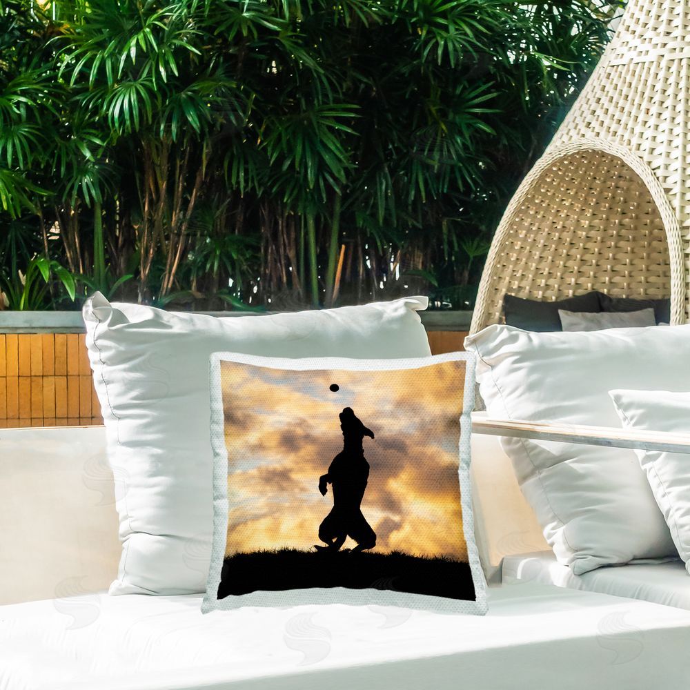 Christine Johnson Dog Catching Ball Silhouette Outdoor Quick-Dry Polyester Printed Throw Pillow in Back Yard