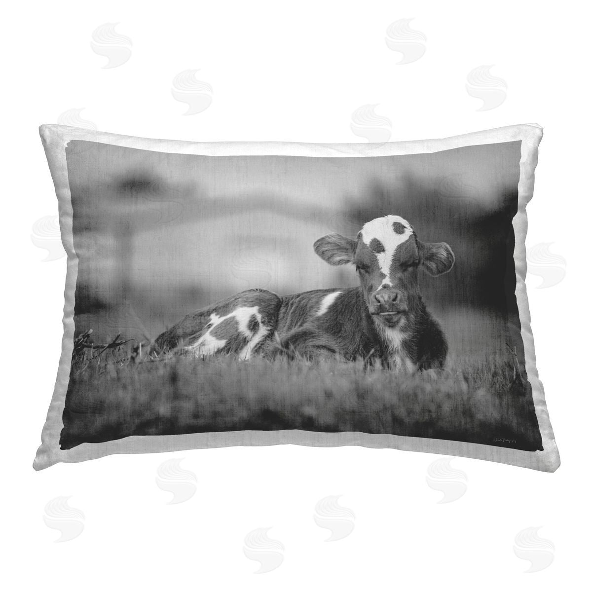 Dakota Diener Lounging Cow in Grass Printed Plush Polyester Throw Pillow