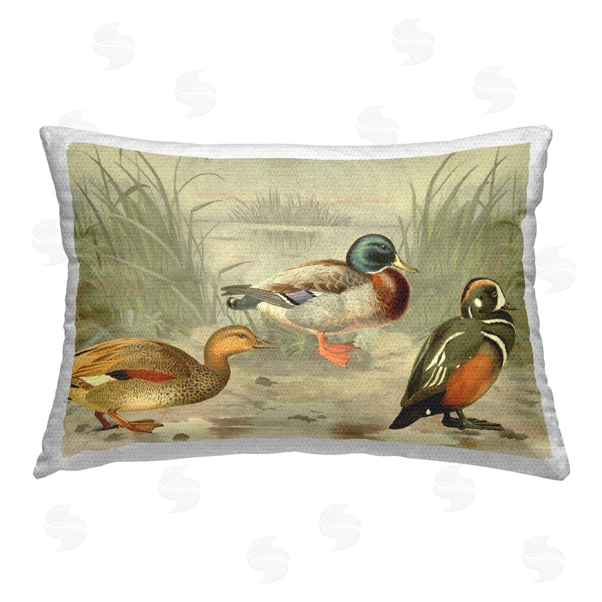 Gail Fraser Ducks & Pond Nature Outdoor Quick-Dry Polyester Printed Throw Pillow